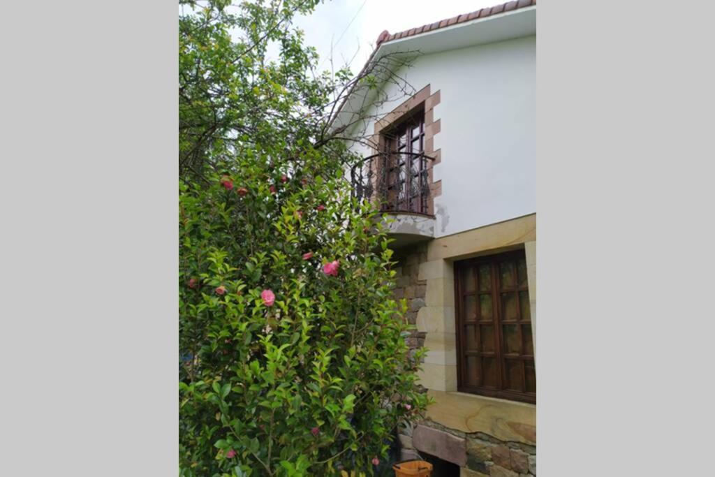 Casa Las Lindes Valle De Cabuerniga , Cantabria ภายนอก รูปภาพ